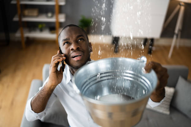 Best Local water damage restoration  in Little River, SC
