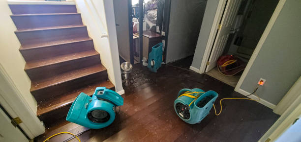 Best Commercial water damage restoration  in Little River, SC