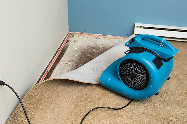 Best 24/7 water damage repair  in Little River, SC